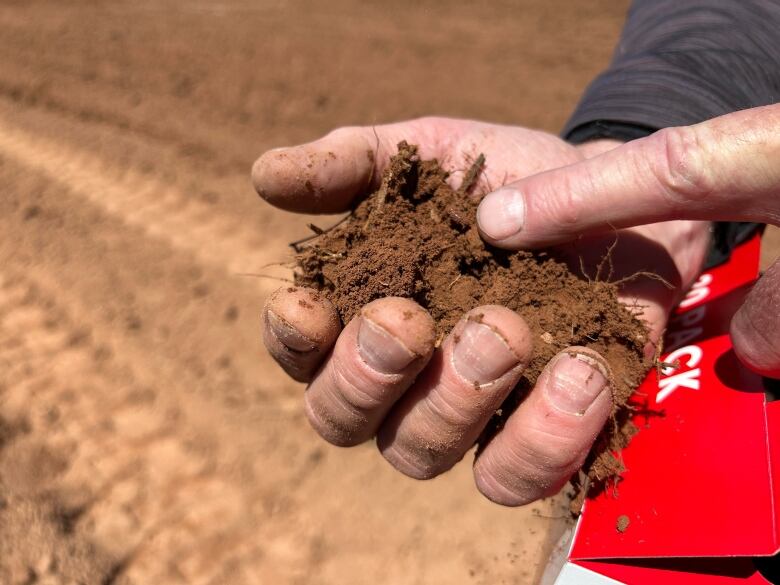 Man hold fist full of dirt in hand.