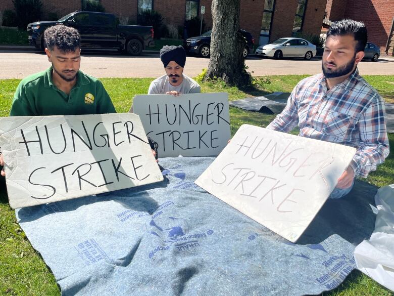 Three protesters holding hunger strike signs sit on blankets laid out in the grass.