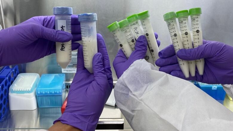 Members of a new Pan-Canadian Milk Network hold up milk samples inside a Winnipeg lab. 