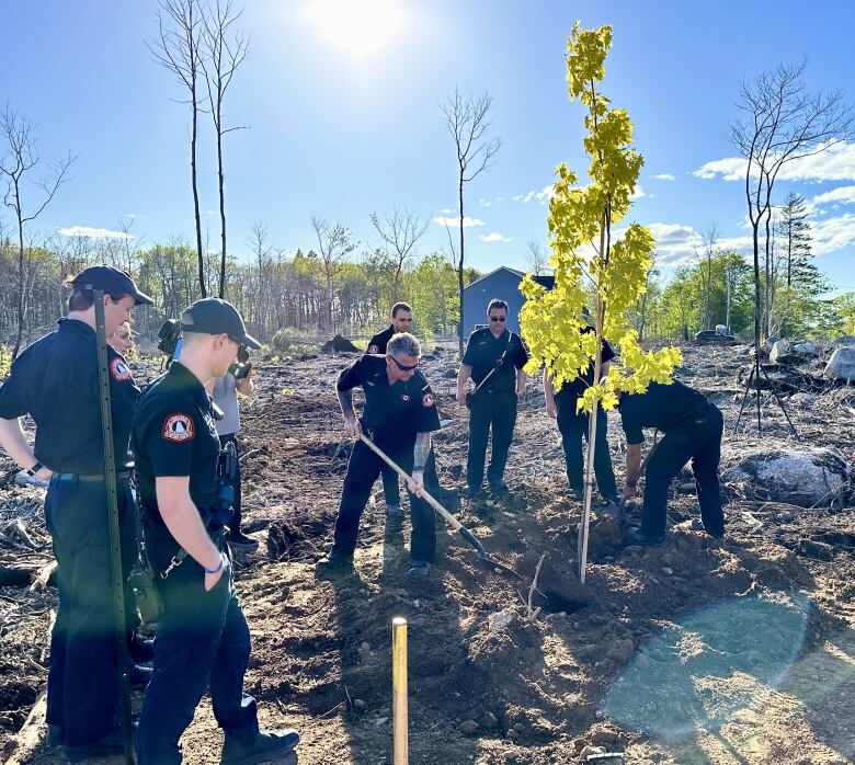 Uniformed firefighters shovel dirt around a newly planted tree with green leaves.