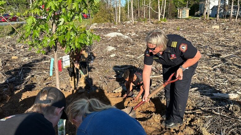 A woman in a uniform looks down as she shovels dirt onto a tree