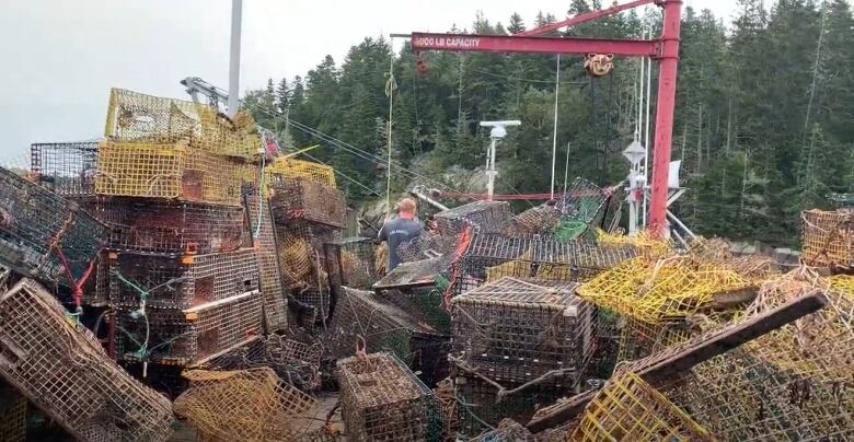 Lost lobster traps retrieved from the ocean.