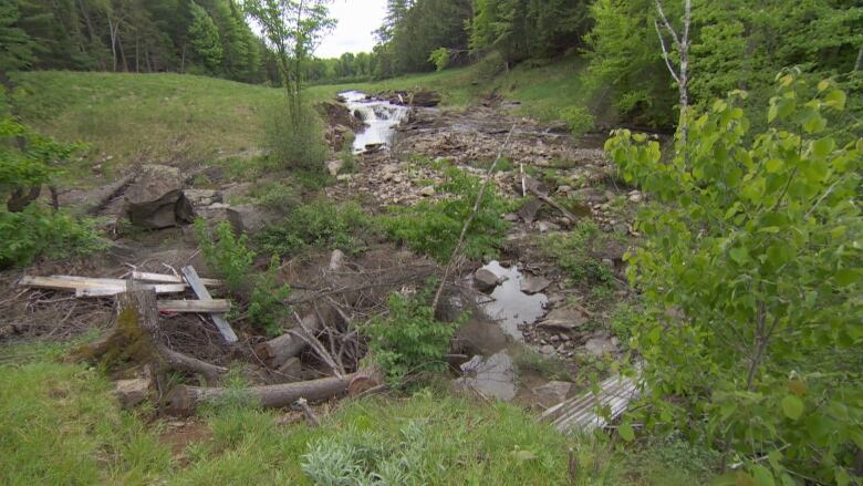 A creek runs by a green bank strewn with concerete boulders.