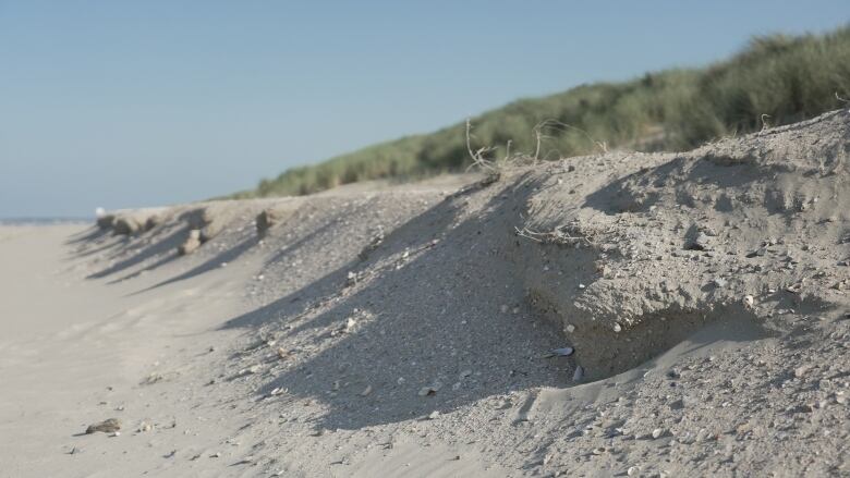 A closeup image of sand on a beach.