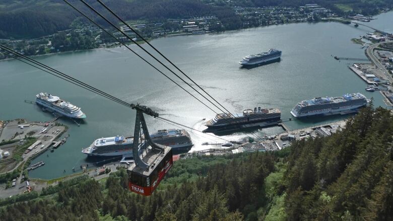 Looking down a treed slope toward a gondola car and an inlet with several large cruise ships.