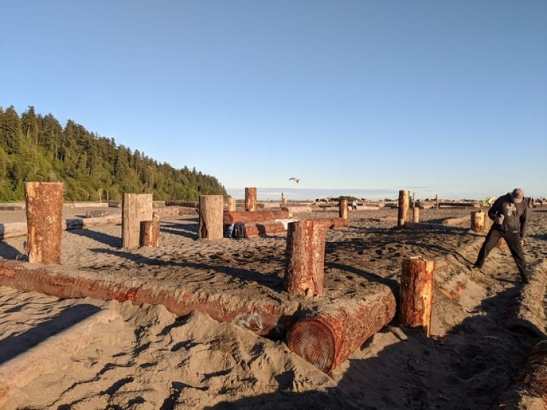 Logs in the sand in a number of patterns on a beach.