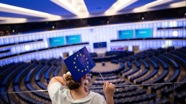 A person waves a flag as the look over an empty parliament assembly room.