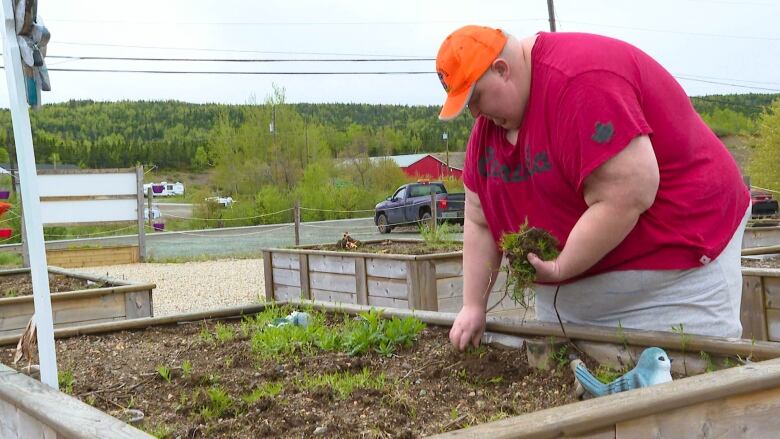 A 20-something man wearing a red shirt and ball caps pulls weeds out of a raised garden