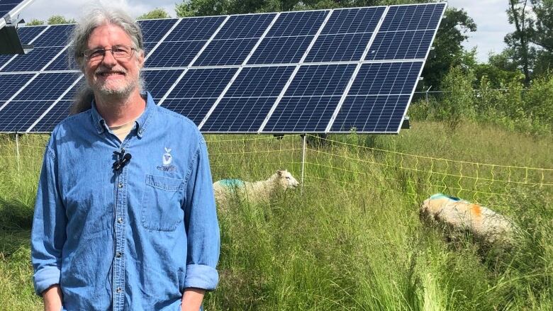 A man in front of sheep and solar panels