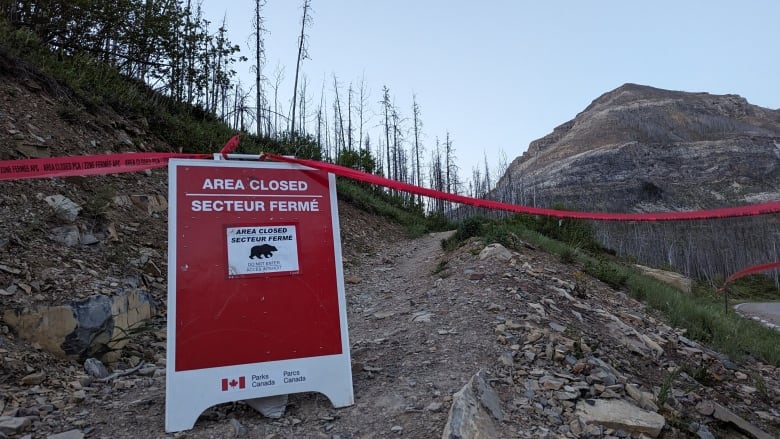 a mountain trail is picutred with a red sandwich board sign indicating the trail is closed because of a bear 