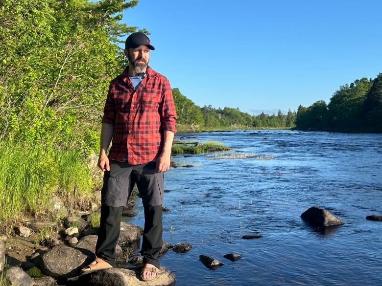 a man stands overlooking a river surrounded by trees 