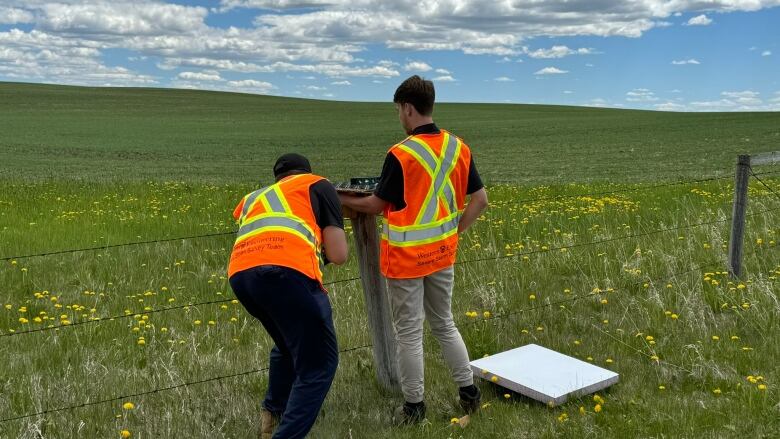 Researchers from Western University are measuring the impacts of hail damage, with tools like this hail pad, lower right.