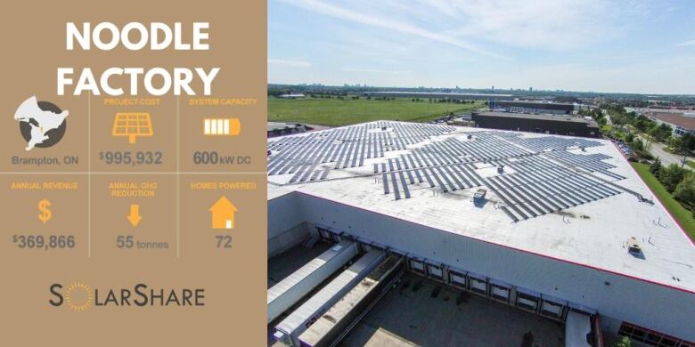 solar share noodle factory profile with image and some stats