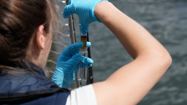 Someone testing water quality using a reagent with a river in the background