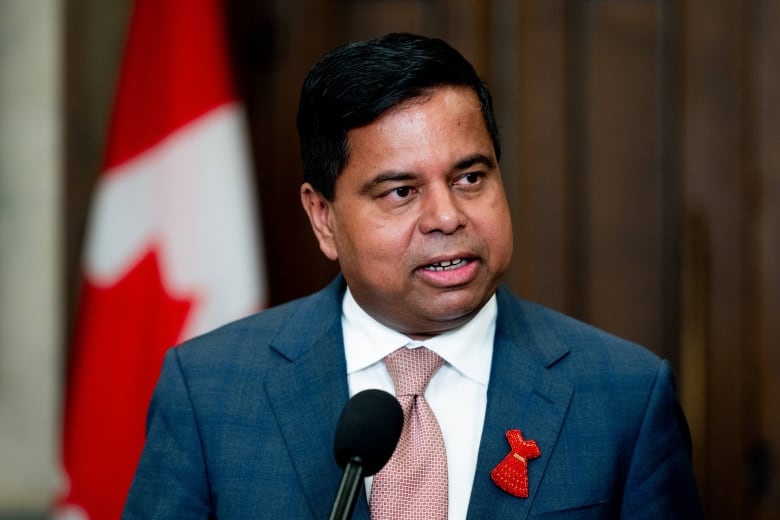 Crown-Indigenous Relations Minister Gary Anandasangaree speaks in the House of Commons on Parliament Hill in Ottawa, on Monday, June 3, 2024.