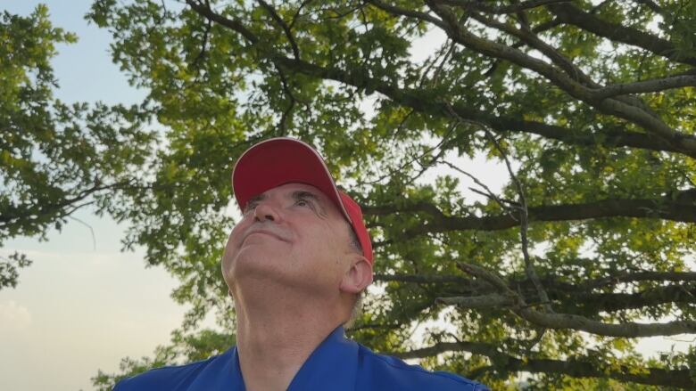 Steve Cowell stares up into the branches of two trees smiling