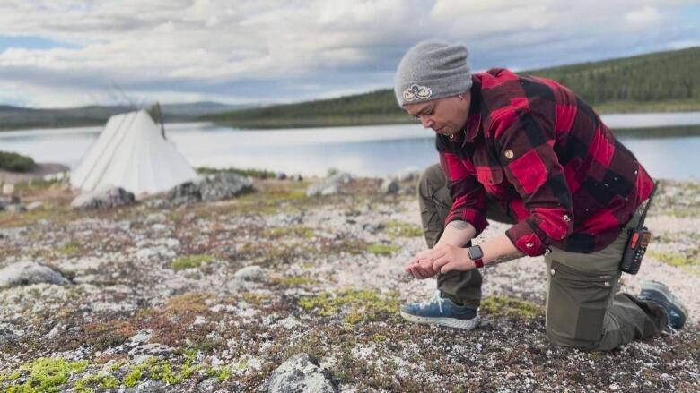 Valrie Courtois kneels to pick berries out on the land.