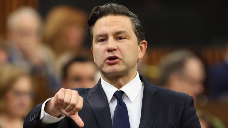 Conservative Leader Pierre Poilievre rises during question period in the House of Commons on Parliament Hill in Ottawa on Wednesday, June 12, 2024.