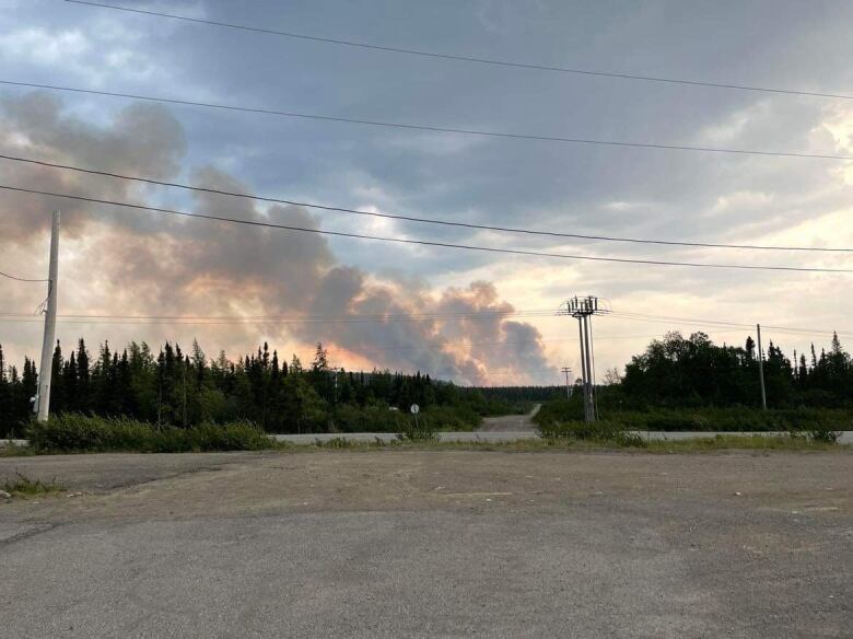 Landscape photo of trees with fire and smoke in the distance.