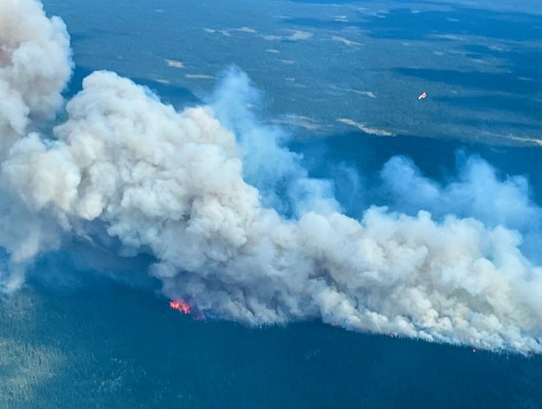 An overhead photo of a large forest fire.