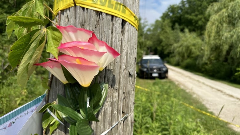 A pink and white flower with a card attached under yellow police tape and a police cruiser in the background