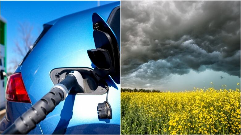 A collage with an electric vehicle on the left and a canola field on the right.