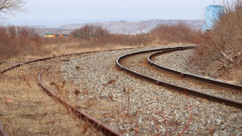 Rail tracks and a rail bed are shown curving off into the distance