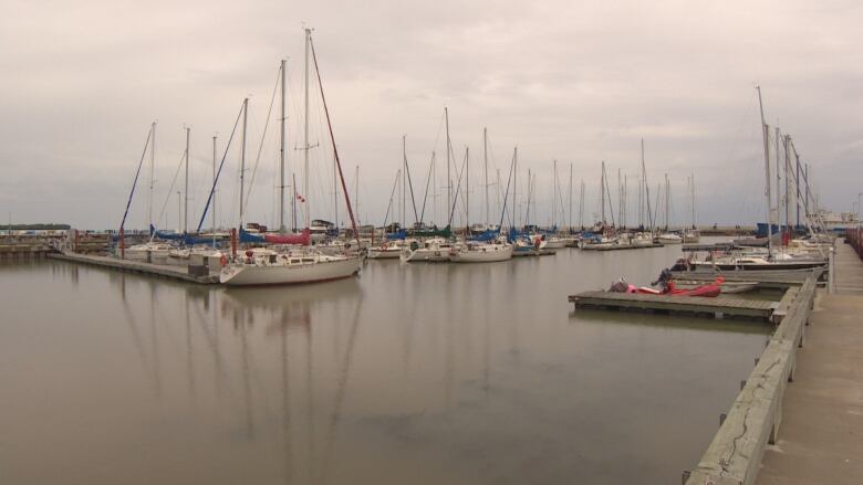 Sailboats sit on top of calm water in a harbour. 