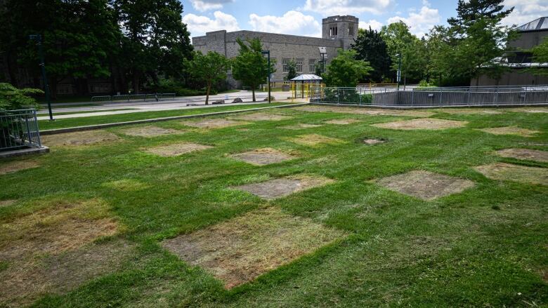 Dry patches of grass remain on the green near Western University's Concrete Beach, where tents had stood for a pro-Palestinian encampment. 