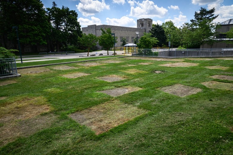 Dry patches of grass remain on the green near Western University's Concrete Beach, where tents had stood for a pro-Palestinian encampment. 