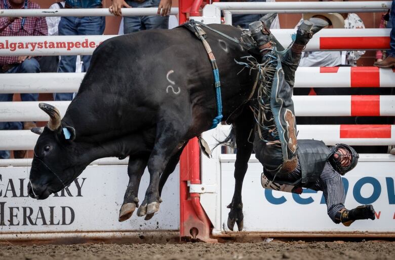 Rodeo animals have access to water immediately after they're finished competing, said director of agriculture and western events Kristina Barnes. 