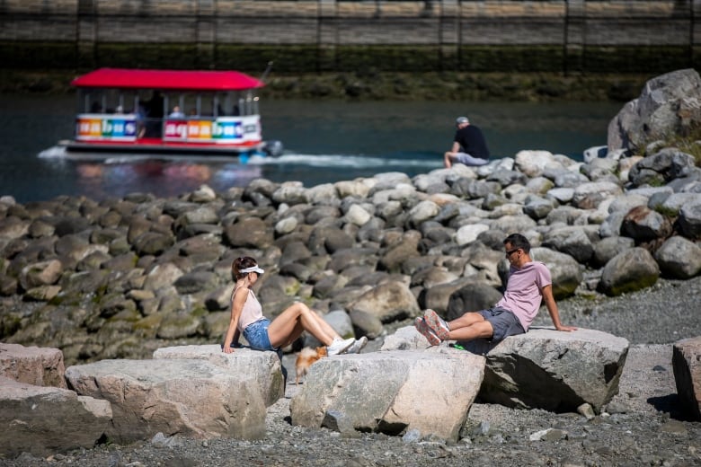 Two people look at a dog while seated on rocks near a body of water, while a passenger ferry passes by. Another person is also sitting by the rocks looking away from the camera.