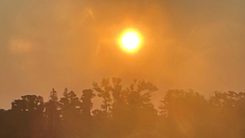 An orange sun in a hazy sky just over a tree-lined horizon.