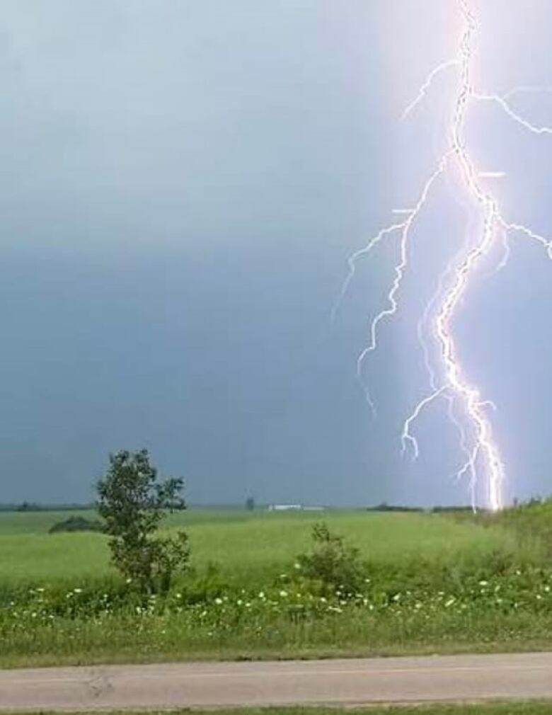 Lightning strikes on the horizon with a field in the foreground.