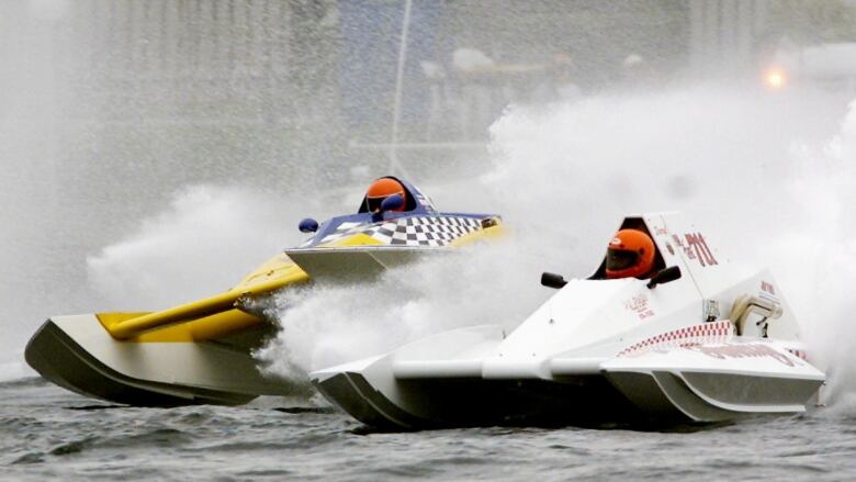 Hydroplanes on the water 