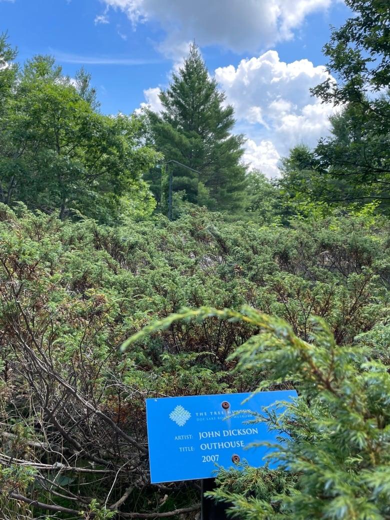 Woodsy landscape. In the distance, a mirrored shed blends into the scene. In the foreground, a blue didactic card identifies the artwork as Outhouse by John Dickson.