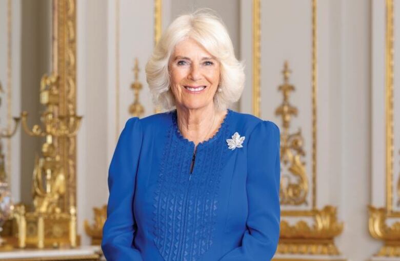 Canada has released its official portrait of Queen Camilla. The photo was taken at Buckingham Palace in June. 