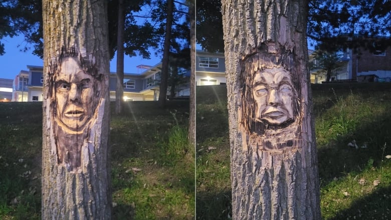 two trees with faces carved into trunks