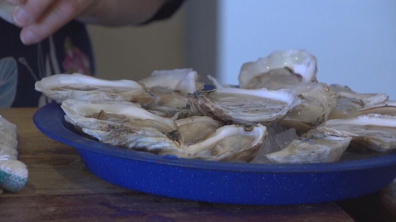 Fresh shucked oysters in a blue plate.