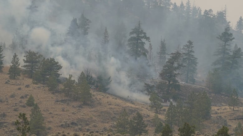 Flames and smoke arise from a hilltop.