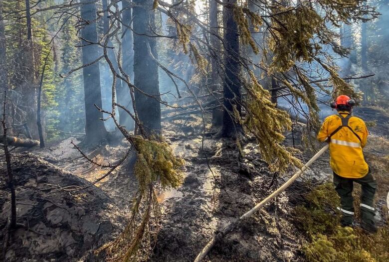 A firefighter in the forest. 