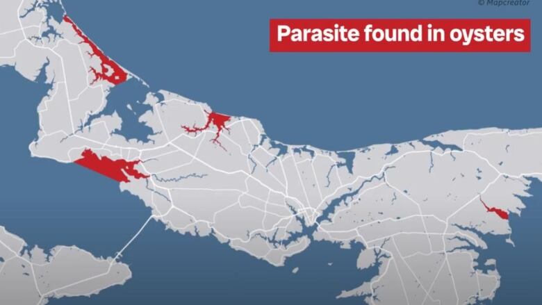 This map shows the zones on P.E.I., in red, where the presence of the MSX pathogen in oysters has been detected.