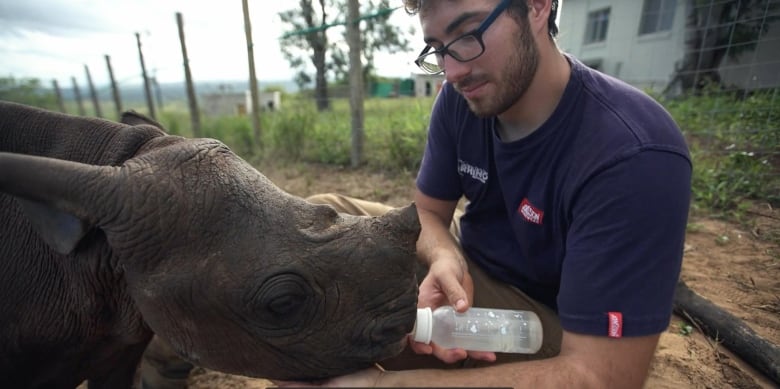 A man feeds a baby rhino with a bottle