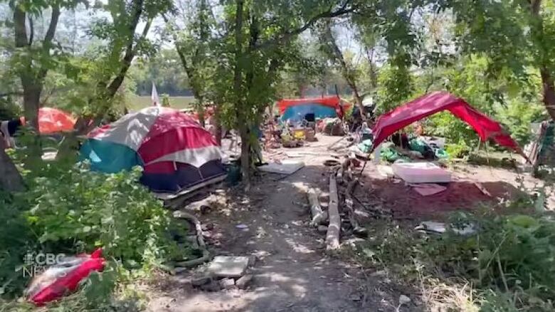 Tents are set up under trees near a river