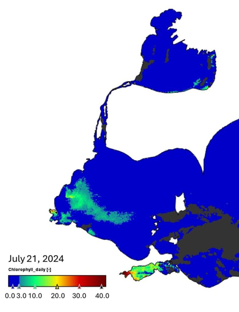 A satellite image captured on July 21, 2024 shows the presence of cyanobacteria in Lake Erie and Lake St. Clair.