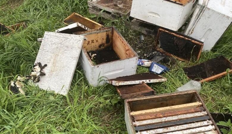 Bee hives scattered in a field. Parts of the hives are burned.