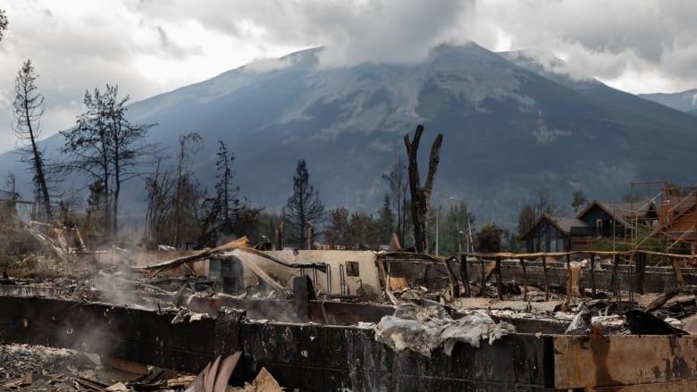 Smouldering debris lies on the ground in front of a forest, under a cloudy sky. A mountain rises in the background, its peak hidden.