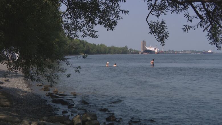 People in the water of a beach.