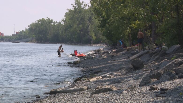 People in the water and lounging on a beach. 