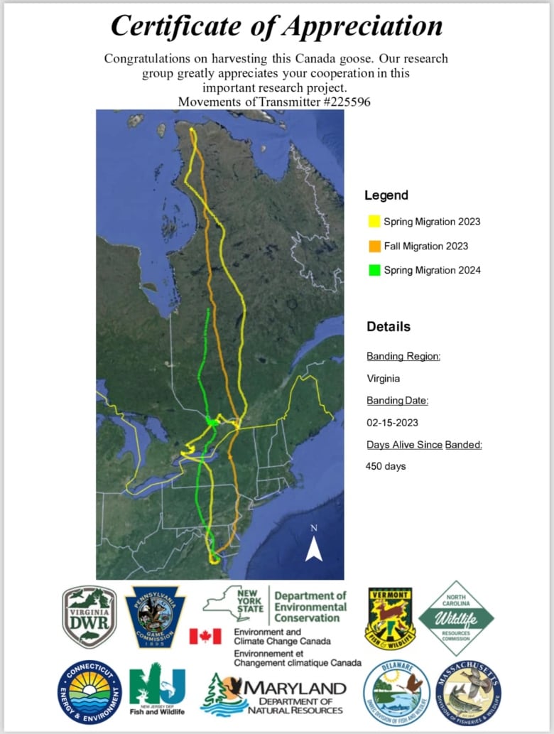 A map of Quebec shows flight pattern of a goose collared with GPS in the Spring of 2023 until Spring of 2024 when it was harvested.